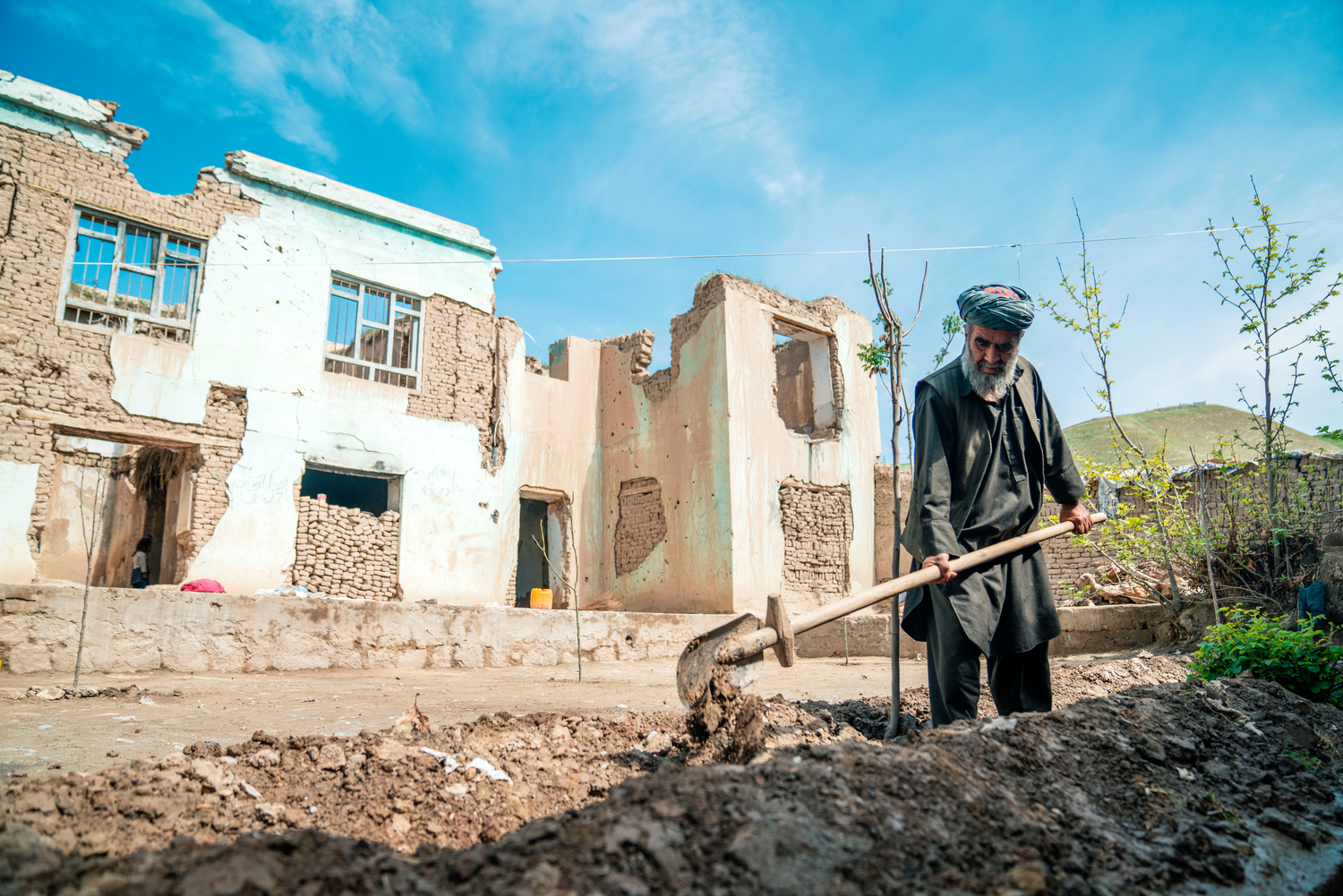 A man digs a trench for a tree in front of the ruins of a bombed-out house. Un hombre cava una zanja para un árbol frente a las ruinas de una casa bombardeada.